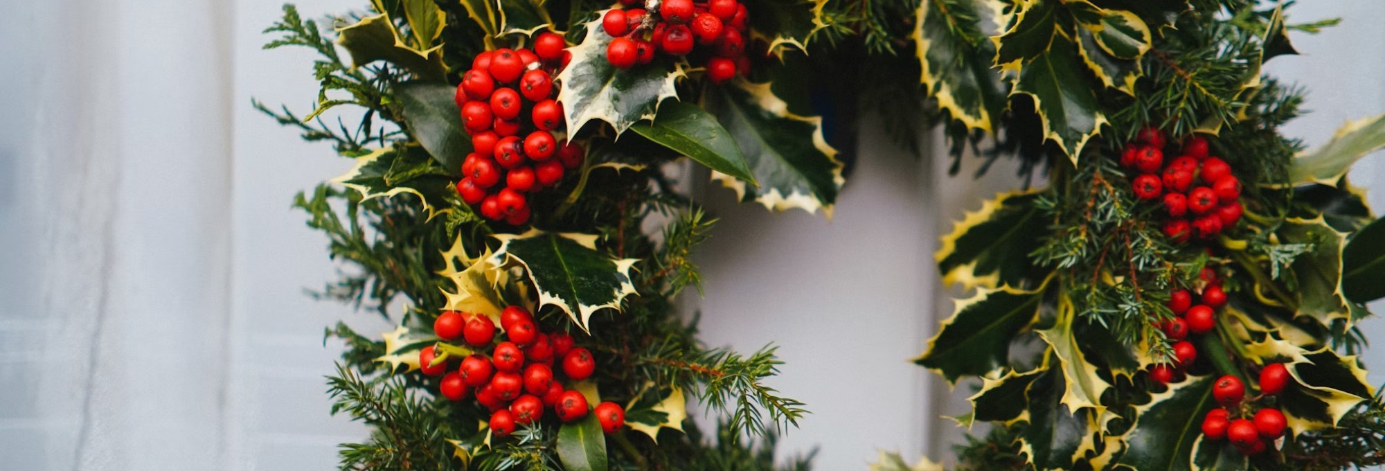 Christmas wreath on a white background