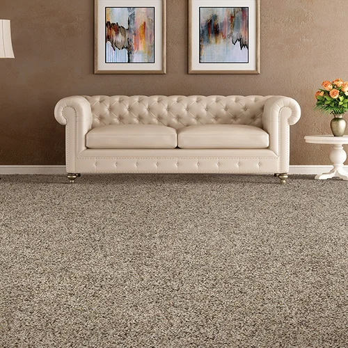 Carpet Corner providing easy stain-resistant pet friendly carpet in Olathe, KS